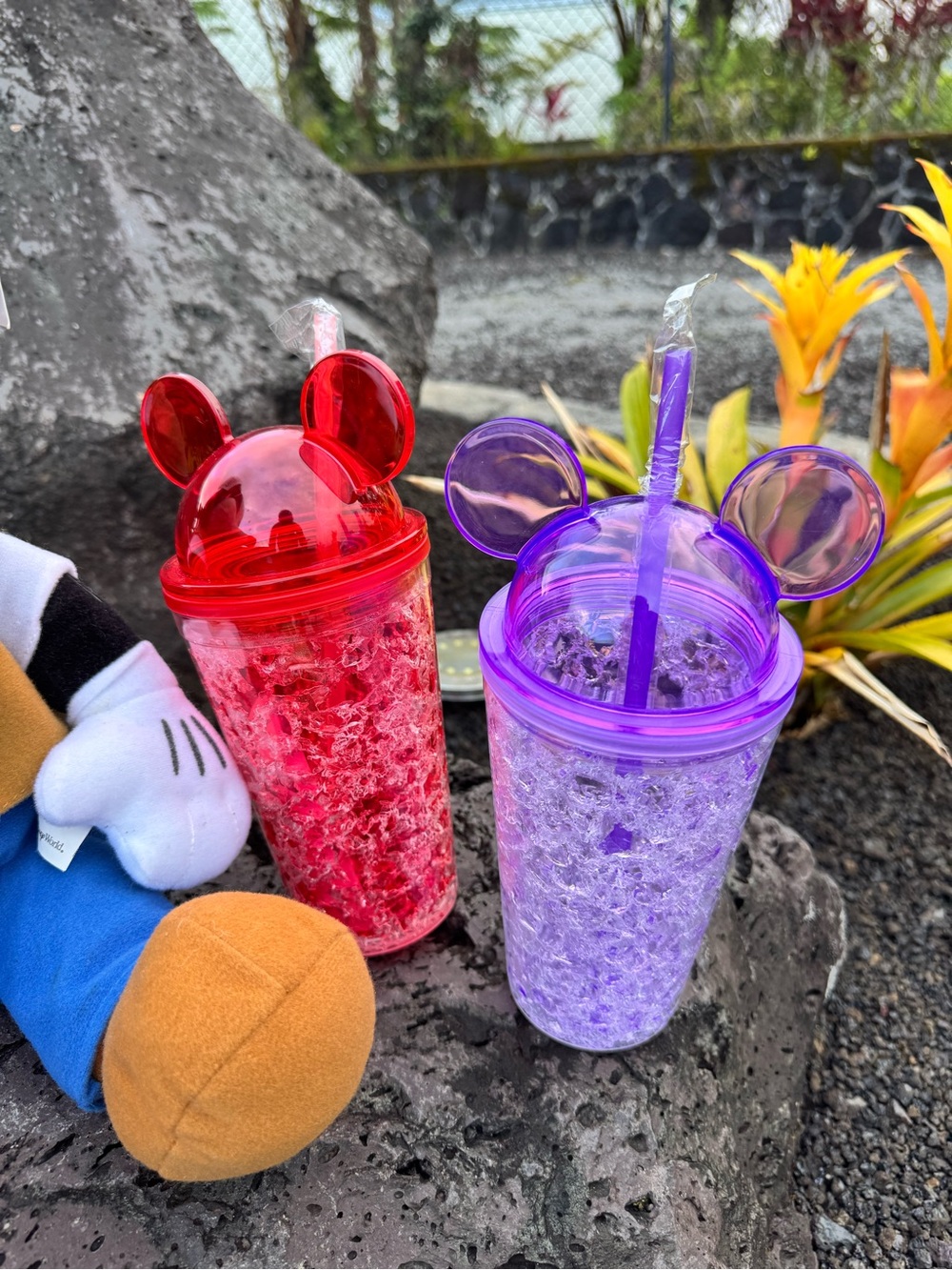 Disneyland Resort Mickey Mouse Plush & Mickey Ear Tumblers Bundle - Picture 3 of 9
